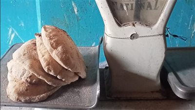 تحرير 55 محضرًا تموينيًّا لمحال ومخابز مخالفة بالإسماعيلية 