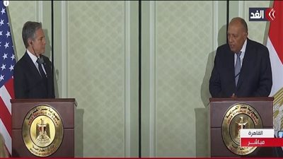 شكري يطالب أمام بلينكن بحل الدولتين وإقامة دولة فلسطينية على حدود 1967.. فيديو