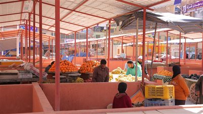 نقل وتسكين الباعة الجائلين إلى السوق الحضرى المطور  بكفرالشيخ