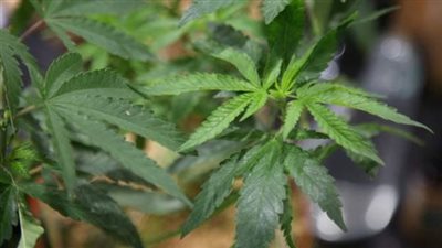 الشرطة الإسبانية والمغربية تضبط مروحية عصابة مخدرات