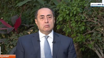 حسام زكي: الجامعة العربية تسير على ألغام في بعض المسائل الحرجة (فيديو)