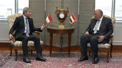 وزير الخارجية: نحذر من استمرار تأزم الأوضاع الإنسانية الكارثية في غزة