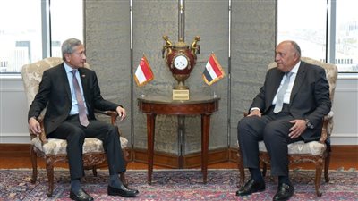 وزير خارجية سنغافورة: نتطلع لتعزيز التعاون مع مصر فى الطاقة المتجددة والسياحة