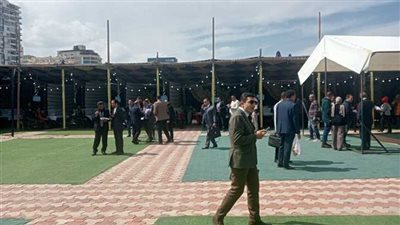 النيابة الإدارية تتولى الإشراف القضائي على انتخابات نقابة المحامين