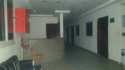 حي جنوب الغردقة يشارك في فعاليات «ساعة الأرض»