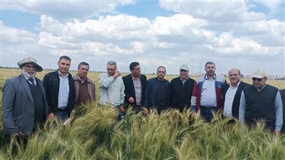 معهد الأمراض يتابع المحاصيل الاستراتيجية 