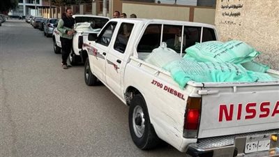 تموين قنا: ضبط 17 شيكارة دقيق مدعم مخصص للمخابز 