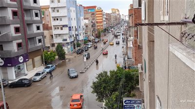 أمطار خفيفة وبرد قارص يضرب أحياء الإسماعيلية  