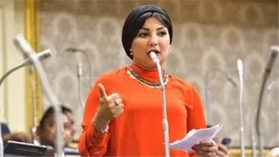 النائبة رشا أبو شقرة تؤكد أهمية التعاون بين مصر وسيراليون في تدريب الكوادر النسائية