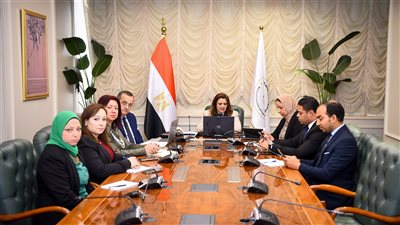 لقاء جديد لوزيرة الهجرة مع رموز وأبناء الجالية المصرية في اليابان وكوريا الجنوبية