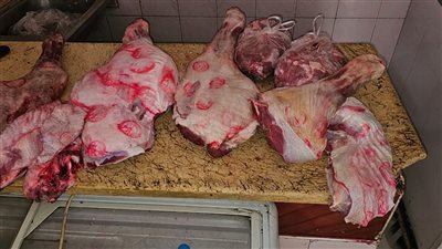 ضبط لحوم ودواجن وأسماك غير صالحة للاستهلاك الآدمي بالبحيرة