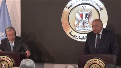 وزير الخارجية: لا يمكن تقبل استمرار الأعمال العسكرية في غزة (فيديو)