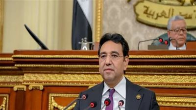 النائب أيمن محسب: زيارة محمد بن زايد لمصر تتويج للشراكة الاستراتيجية بين البلدين