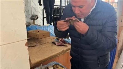بيطري الغربية يضبط  ٢ طن و٦٢٥ كجم أسماكًا مدخنة 