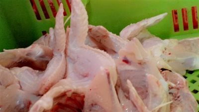 101 جنيه كيلو الدواجن البيضاء بأسواق البحيرة 