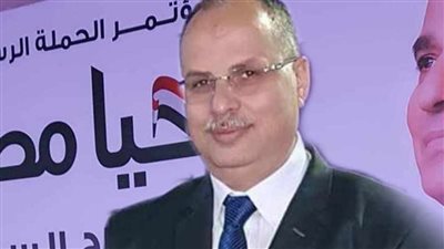 مطر: ارتفاع تحويلات المصريين بالخارج دليل على صحة قرار المركزي