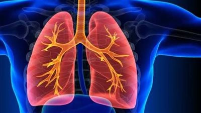 فيتامينات تفيد صحة الرئة