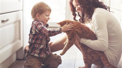 تربية الحيوانات الأليفة بالمنزل قد تسبب الوفاة بأمراض خطيرة في هذه الحالة