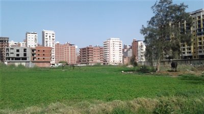 ارتفاع درجة الحرارة ورياح متوسطة في محافظة البحيرة 