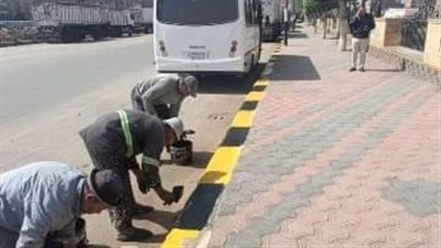 جهود يومية لرفع مستوى النظافة وتجميل مدن الشرقية