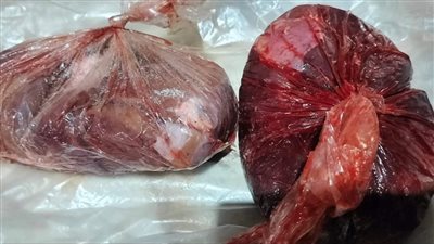 ضبط 22 كيلو كبدة وأسماك غير صالحة للاستهلاك بالفيوم 