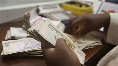 البنك المركزي النيجيري يرفع أسعار الفائدة لمكافحة التضخم المرتفع
