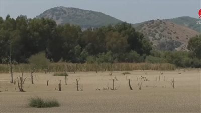 المغرب يترقب أسوأ حصاد للحبوب منذ 17 عامًا خلال الموسم الحالي (شاهد)