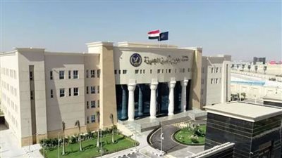 ضبط سائق وبحوزته أسلحة نارية وذخائر بدون ترخيص