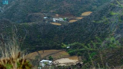 فيتش: نشر السعودية إطار التمويل الأخضر يسهل جهودها المستمرة في التمويل المستدام