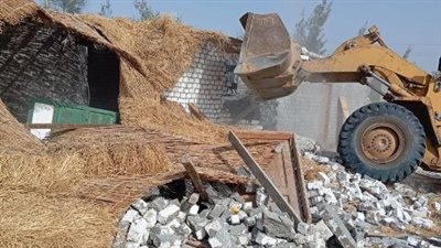 حملات لإزالة مخالفات البناء على الأراضي الزراعية في المهد بمراكز الشرقية| صور