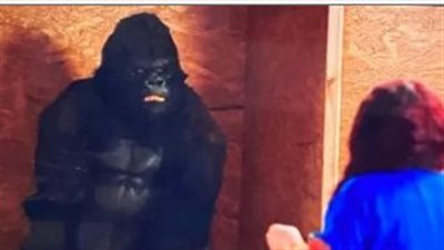 مسلسل الكبير أوي 8| وصول غوريلا لمربوحة بالخطأ أونلاين بدلًا من قرد 