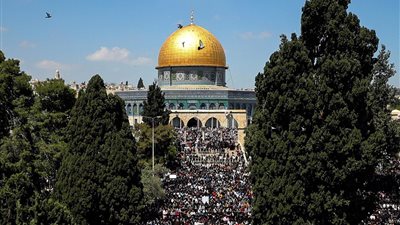 سقوط شجرة معمرة في المسجد الأقصى على شاب بسبب حفريات الاحتلال (فيديو)