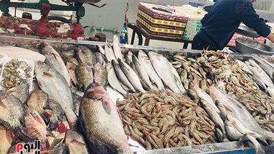 أسعار السمك اليوم الأحد بسوق العبور.. تراجع الكابوريا