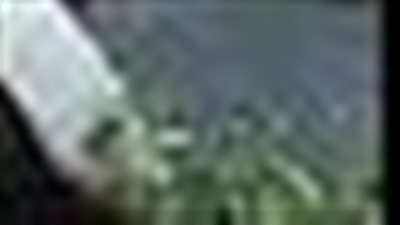 كيف احتفلت لبنان بعيد الفصح المجيد ؟