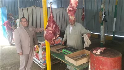 إحالة 61 مخالفة تموينية بالدقهلية للنيابة العامة 