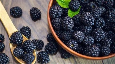 التوت الأسود.. فوائده لن تتخيليها تجعلك تضيفيه لنظامك الغذائي