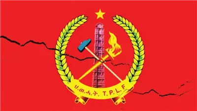 جبهة تحرير شعب تيغراي على مفترق طرق: يواجه مستقبلا غامضا