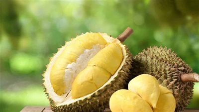 دوريان الملكة.. هذه فوائد الفاكهة ذات 