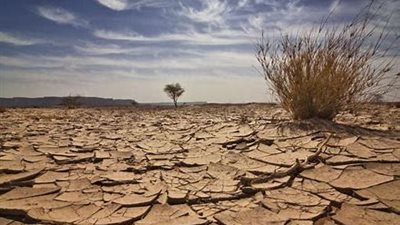 تقارير:  القارة الأوروبية قد تواجه موجات جفاف كبرى تدوم 20 عامًا