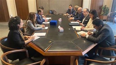 مشاورات مصرية-أمريكية بشأن السودان