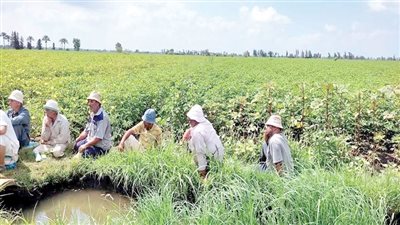 أساتذة طب: المخاطر الصحية فادحة