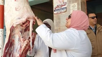 ضبط لحوم ودواجن مخالفة خلال حملات تفتيشية بالشرقية