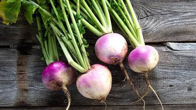 لا تتخل عنه… فوائد اللفت لتقوية العظام وصحة القلب| مفاجأة للحوامل