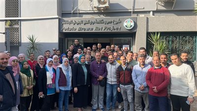 البطاطس تحتل المرتبة الثانية بعد الموالح في قائمة الصادرات الزراعية المصرية