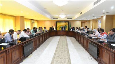 محافظ الفيوم يتابع معدلات تنفيذ مشروعات 