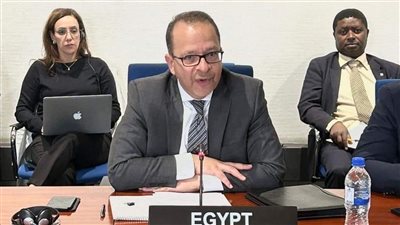 بدء عضوية مصر بمجلس السلم والأمن الأفريقي