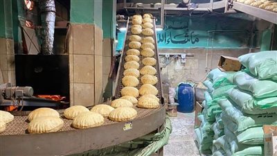 تحرير 45 محضر تمويني ضد المخابز المخالفة بالفيوم 