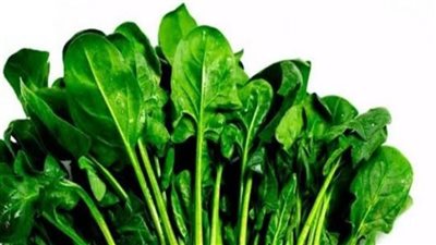 أطعمة ومشروبات إحرص على تناولها في الصيف