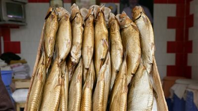 حملات مكثفة لفحص جميع أنواع الأسماك المحفوظة والطازجة والمملحة بالقاهرة