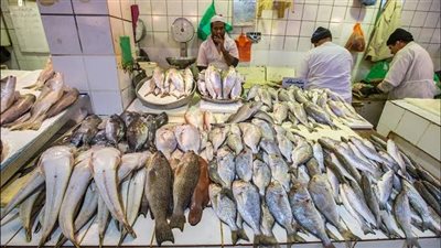 أسعار السمك اليوم الأحد 28 رمضان للمستهلك بالأسواق المحلية.. الدنيس بكام